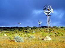 Namaqua park flowers pompes a eau.jpg