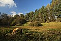 * Nomination: Nature reserve Dobrockovske hadce in the Czech Republic --Chmee2 12:24, 21 November 2012 (UTC) * Review  Comment slightly blurred imo --Rjcastillo 13:08, 21 November 2012 (UTC)