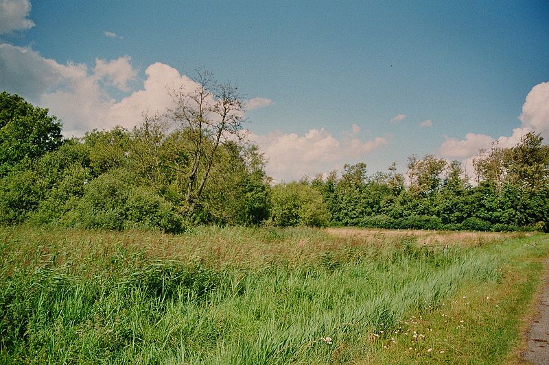 File:Naturschutzgebiet Heiliges Meer Heupen 01.jpg