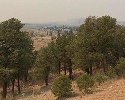 Das Wood Springs 2-Feuer von Navajo am 30. Juni 2020 sichtbar
