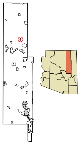 Navajo County Arizona Incorporated and Unincorporated areas Pinon Highlighted 0456120.svg