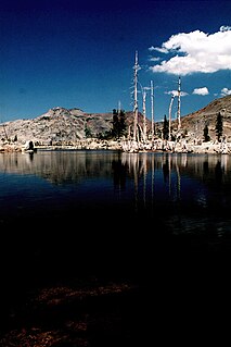 Lake Aloha Body of water