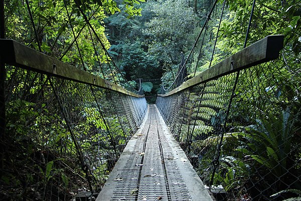 Typical swing bridge on Waikaremoana Great Walk