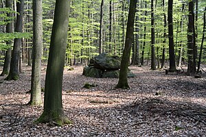 Niedersachsen, Lamstedt, im Naturschutzgebiet NIK 2742.JPG