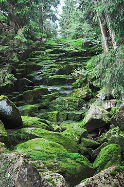 The chute of the Grosser Ausflut OderteichGrosseAusflut.jpg