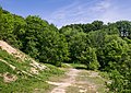 * Nomination Pioneer species and chalk heath vegetation at the Westerberg quarry. Osnabrück, Lower Saxony, Germany --Basotxerri 16:12, 6 September 2018 (UTC) * Promotion  Support Good quality.--Agnes Monkelbaan 16:55, 6 September 2018 (UTC)