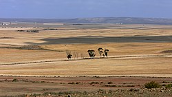 Overberg bölgesindeki manzara