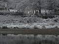 OverleighCemeteryChesterXmas2017a.jpg