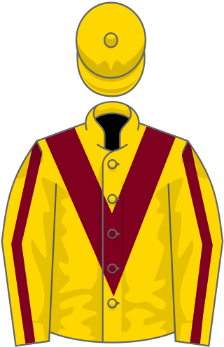 <span class="mw-page-title-main">Campanelle (horse)</span> Irish Thoroughbred racehorse