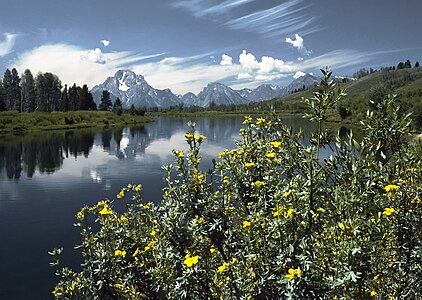 Oxbow Bend outlook in the Grand Teton National Park Edit