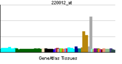 PBB GE ERO1LB 220012 ĉe tn.png