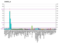 PBB GE POLA1 204835, fs.png'de