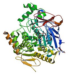 Illustratieve afbeelding van het artikel Acetylcholinesterase