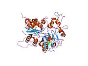 1jy1: CRYSTAL STRUCTURE OF HUMAN TYROSYL-DNA PHOSPHODIESTERASE (TDP1)