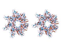 PDB 1tzo EBI.jpg