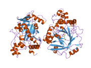 2oq7: The crystal structure of JMJD2A complexed with Ni and N-oxalylglycine