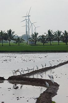 Wind farms in paddy fields in India Paddies and wind turbines in India.jpg