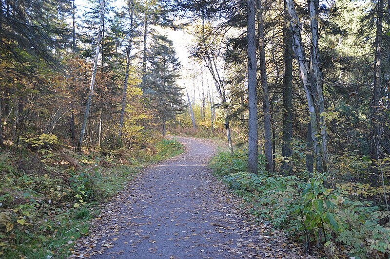 File:Parc Rivière-du-Moulin013.JPG