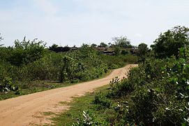 Sur la piste dans le parc national de Uda Walawe au Sri Lanka