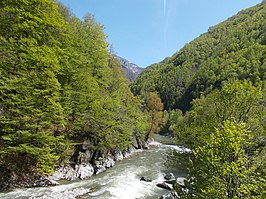 Nationaal park Defileul Jiului