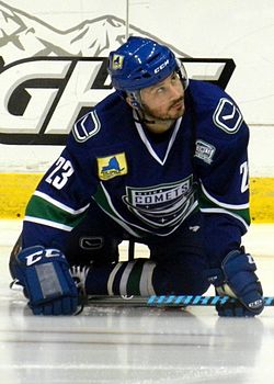 Pascal Pelletier Comets.jpg