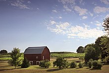 A pastoral farm scene near Traverse City, Michigan, with a classic American red barn Pastoral-barn.jpg