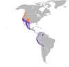 Patagioenas fasciata map.svg