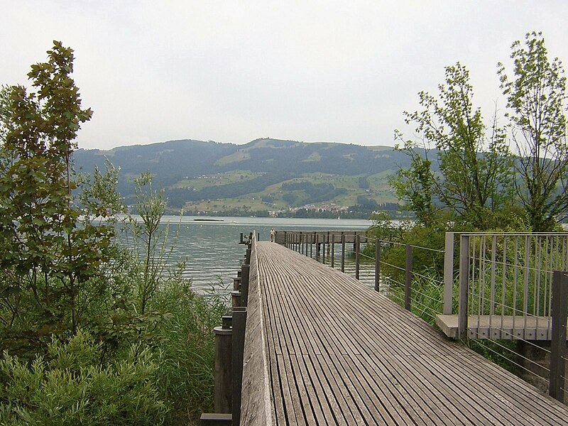 File:Pedestrian Bridge Rapperswil.jpg