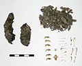 This owl pellet was taken apart. It contained teeth, bones and fur of small animals.