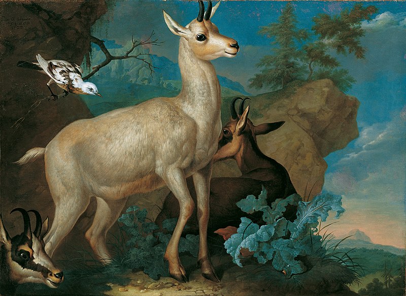 File:Philipp Ferdinand de Hamilton - Drei Gemsen und eine Amsel - 4140 - Kunsthistorisches Museum.jpg