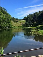 Thumbnail for File:Phoenix Park, Dublin 8.jpg