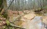 Haleys Branch (Crabtree Creek tributary)