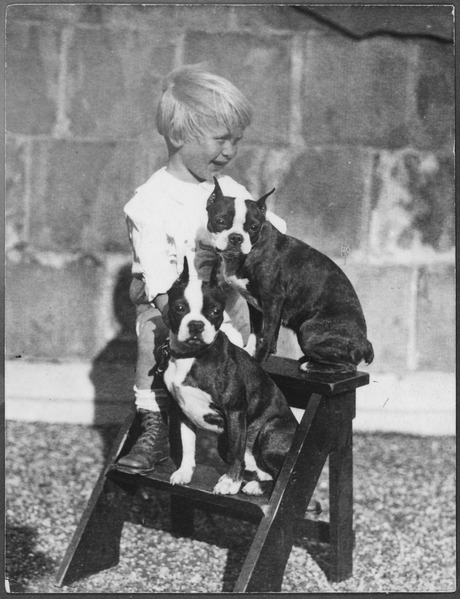 File:Photograph of Gerald R. Ford, Jr. with Two Boston Terriers - NARA - 186947.tif