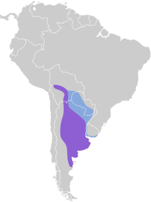 Phytotoma rutila map.svg