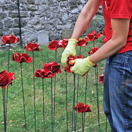 Volunteer "planting" ceramic poppies