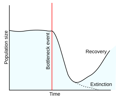 File:Population bottleneck.svg