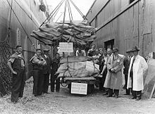 Workers of the port of London unloading "Argentine chilled beef", August 1935. Port london chilled beef 1935.jpg