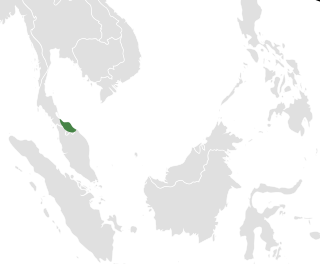 <span class="mw-page-title-main">Langkasuka</span> Ancient Hindu-Buddhist kingdom in Southeast Asia