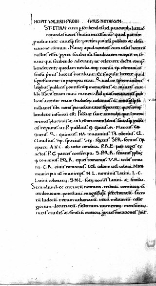 <span class="mw-page-title-main">Marcus Valerius Probus</span> 1st century Roman grammarian and critic