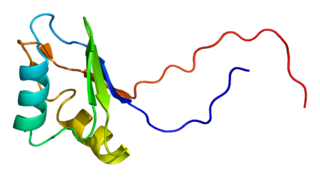 <span class="mw-page-title-main">IGF2BP2</span>