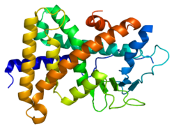 Белок NR1I2 PDB 1ilg.png