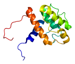 Ақуыз SMTN PDB 2d87.png