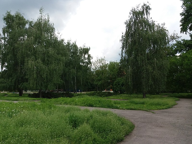 File:Prydniprovskyi Park - Shtabnyi Square (11.05.19).jpg