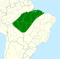 Distribuição do araçari-de-pescoço-vermelho na Bolívia e Brasil