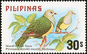 Bildebeskrivelse Ptilinopus merrilli 1979-stempel av Filippinene.jpg.