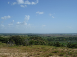Landschap van Puerto López