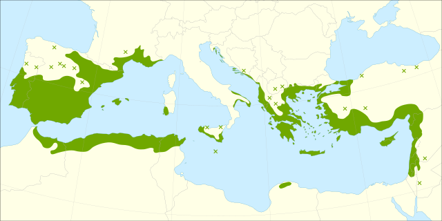 Descripcion d'l'imatge Quercus coccifera range.svg.