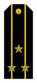 Rusijos federacijos pirmo rango kapitono antpetis