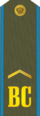 RFAF - Efreitor - Всеки ден green.png