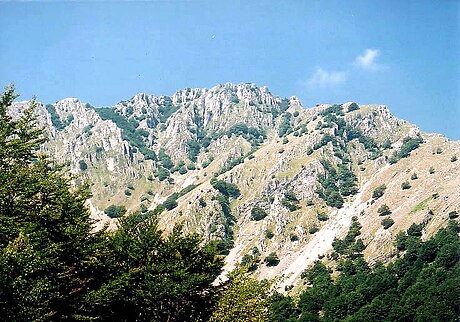 Nationaal park Domogled-Valea Cernei